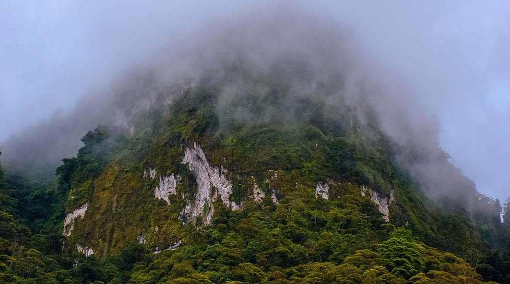 Peñas Blancas Massif, Jinotega Department, Nicaragua